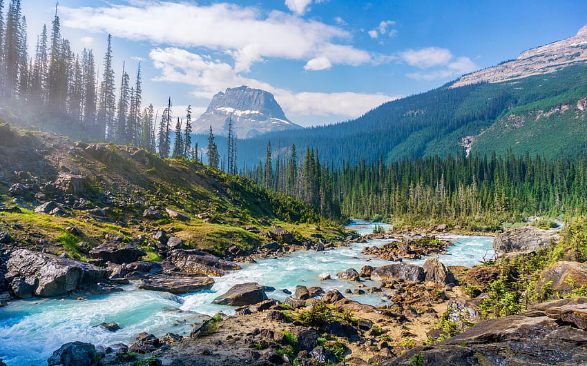 Yoho Ulusal Parkı, nehir, dağlar, orman, yaz, British Columbia, Kanada, güzel doğa, Kuzey Amerika, R, çözünürlük 3840x2400. Yüksek Kalite, yoho np HD duvar kağıdı