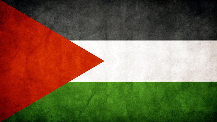 US Flag Group 1920×1080 Flag, palestine HD wallpaper