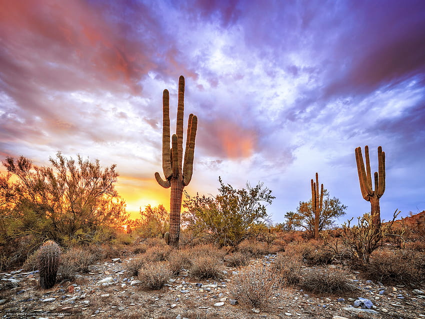 matahari terbenam, Gurun Sonora, Arizona, lanskap dalam resolusi 2048x1536 Wallpaper HD