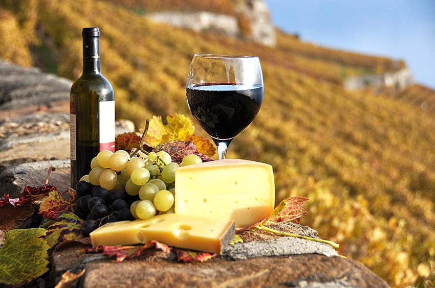 Wine Grapes Cheese Food bottles Stemware drink, wine and cheese HD wallpaper