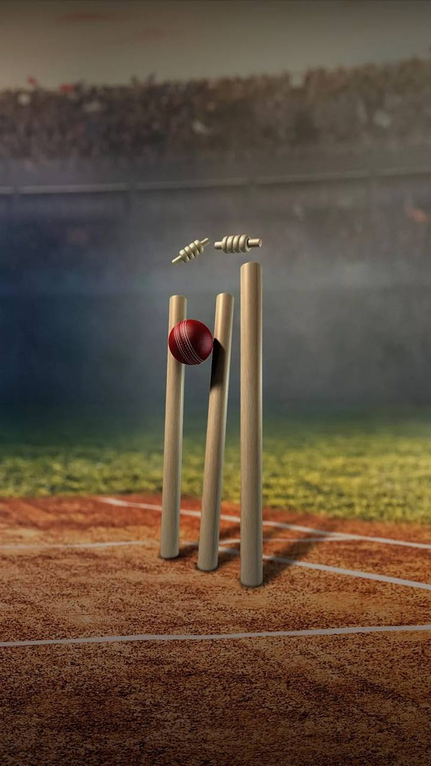 Cricketschläger, Cricketstumpf HD-Handy-Hintergrundbild