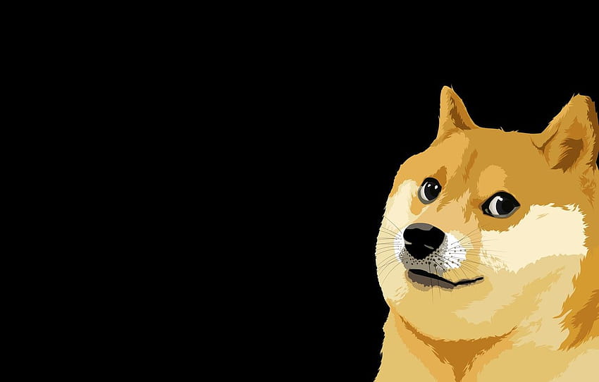 Minimalism, Dog, Black background, Dog, Art, dog meme HD wallpaper