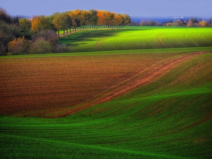 Есенно поле във ферма, дървета, зелено и кафяво, есен във фермата HD тапет