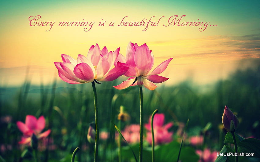 Beautiful good morning cell HD wallpapers | Pxfuel