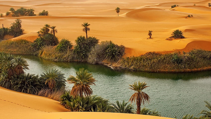 Оазис в либийската пустиня, пустинен оазис HD тапет