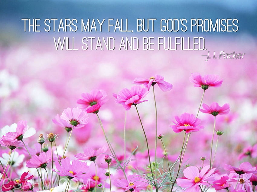God's promises will stand…”, stay at home HD wallpaper