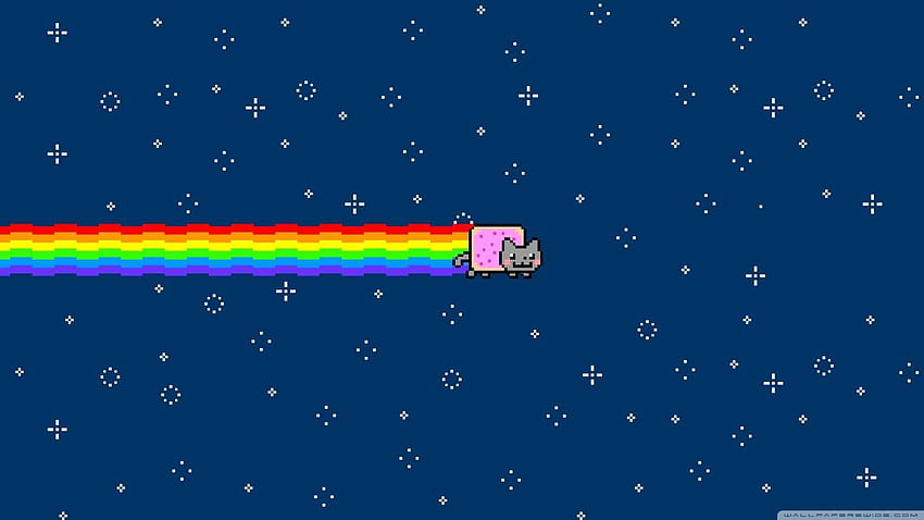 Ultra TV için Nyan Cat ❤ • Geniş, hareketli kediler HD duvar kağıdı