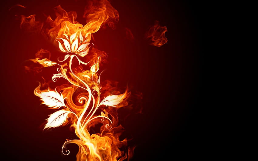 пламъци, цветя, огън, дим, черен фон ::, черен огън HD тапет