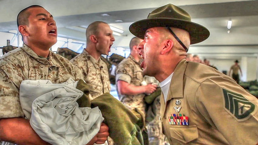 Marine Corps Boot Camp – Recruits Meet Drill Instructors, marine drill instructor HD wallpaper