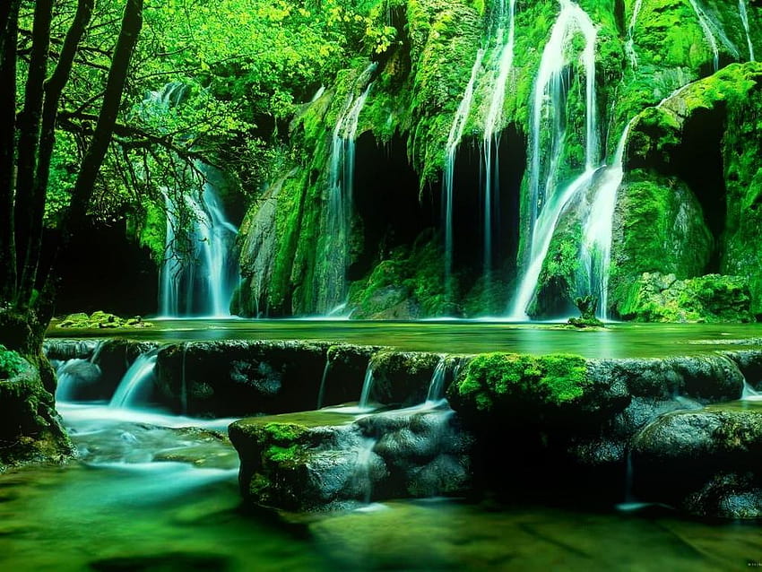 Водопади: Зелен водопад Красиви горски каскади Падащи дървета HD тапет
