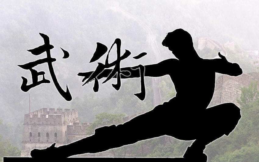 For > Shaolin Kung Fu HD wallpaper