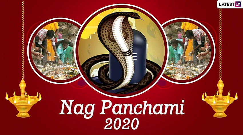 Pin by Tulsi Ram on Nag Panchami | Hd photos free download, Hd images, Free  download