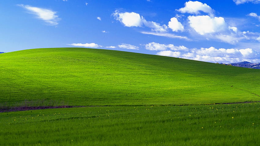 Colina popular no Windows XP 'Bliss' pode ter sobrevivido papel de parede HD