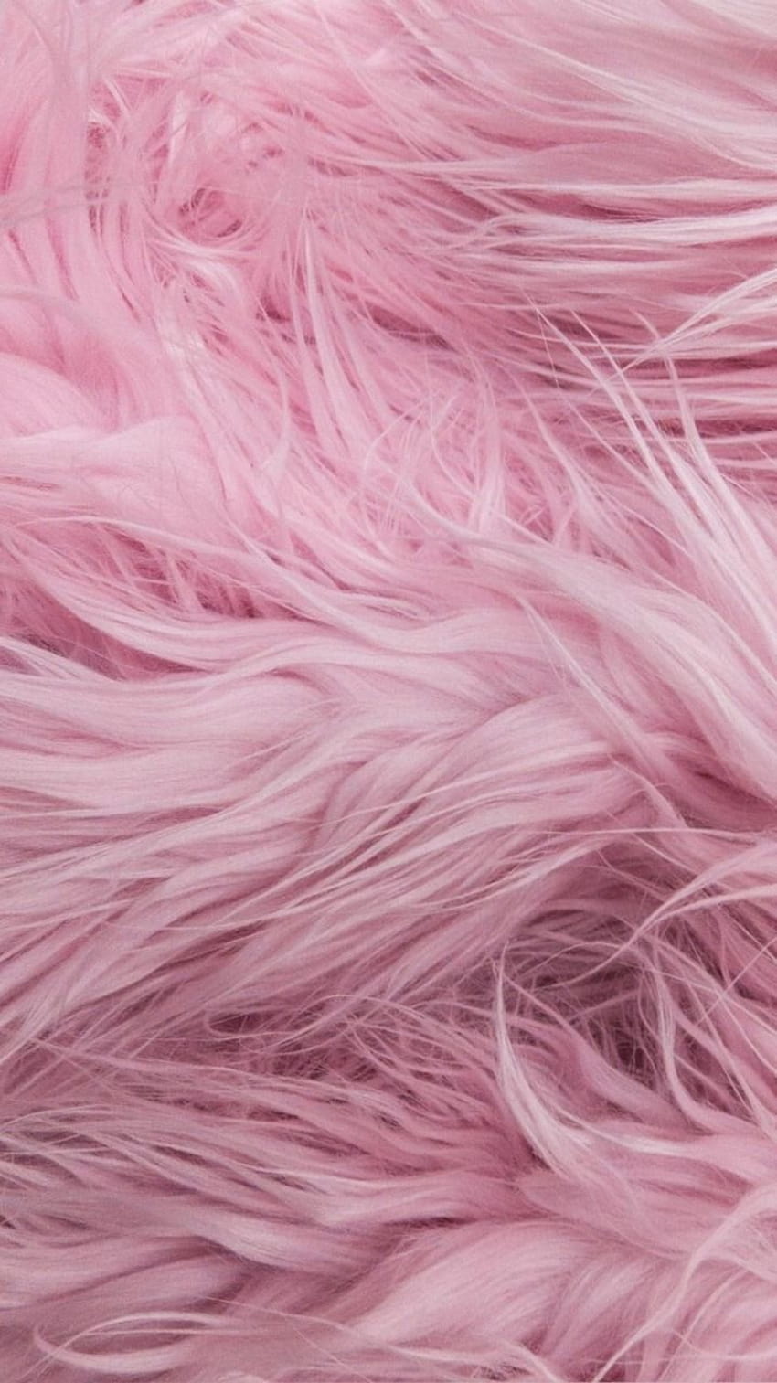 Pink Fur Pictures  Download Free Images on Unsplash