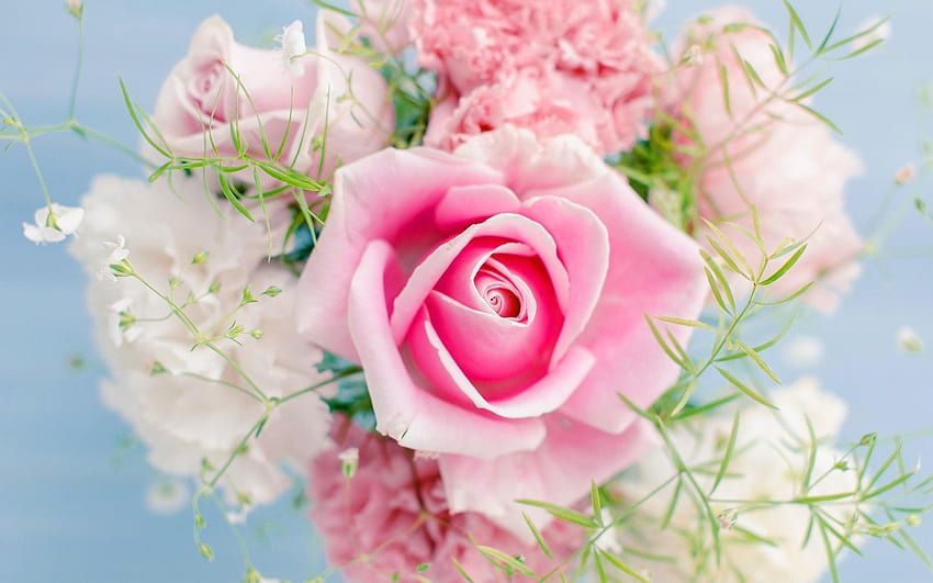 flor de color rosa claro