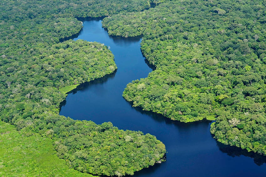 Beautiful Long Amazon River HD wallpaper