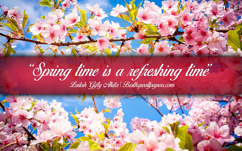 La primavera es una época refrescante, Lailah Gifty Akita, texto caligráfico, citas sobre la primavera, citas de Lailah Gifty Akita, inspiración, de primavera, citas sobre el tiempo con una resolución de 2880x1800. Alto, primavera inspirador fondo de pantalla