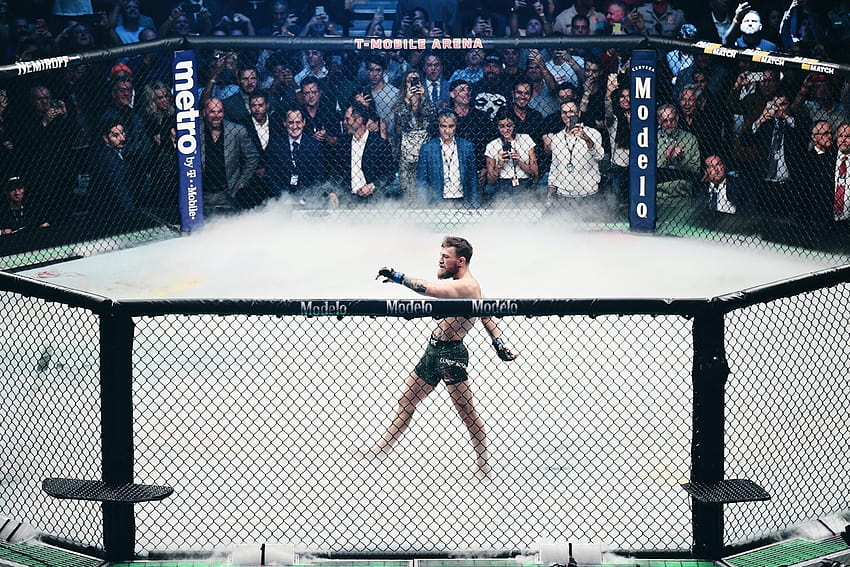 von Conor McGregors UFC 229 Streik von Al Powers, ufc Cage HD-Hintergrundbild