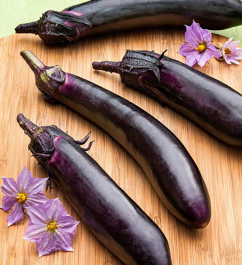 Eggplant High Quality, aubergines HD phone wallpaper