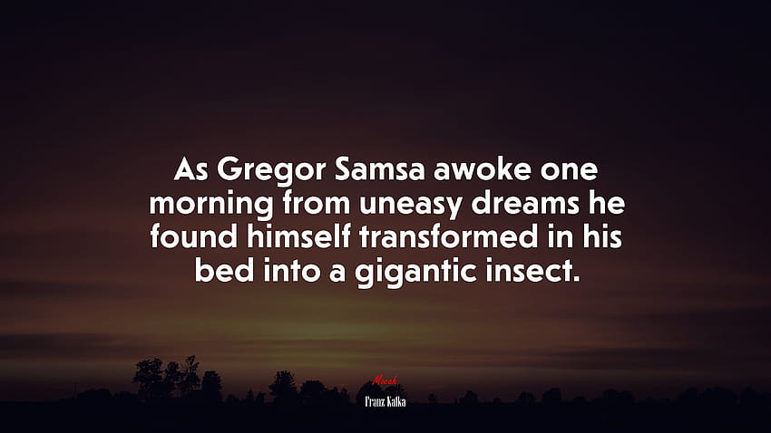 672815 Gdy Gregor Samsa obudził się pewnego ranka z niespokojnych snów, stwierdził, że w swoim łóżku zmienił się w gigantycznego owada. Tapeta HD