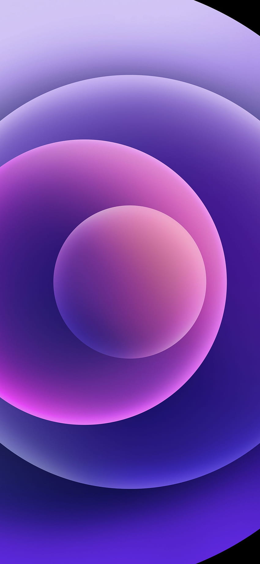 iPhone 12 ungu baru untuk perangkat Anda di sini, warna ungu wallpaper ponsel HD