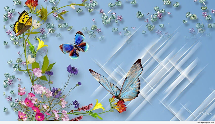 5 3D Butterfly, rainbow butterfly HD wallpaper