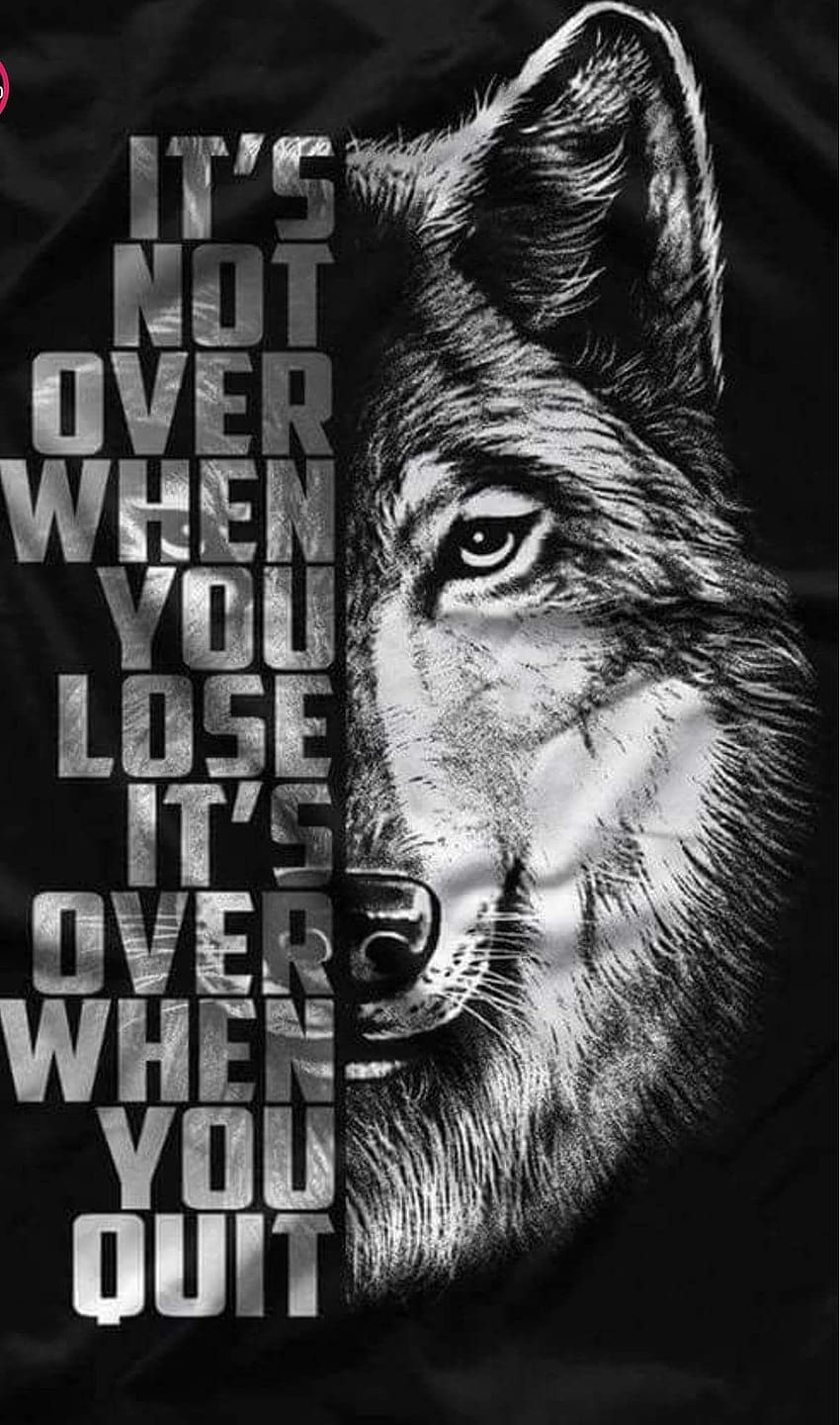 6 Badass Wolf, dark alpha wolf HD phone wallpaper