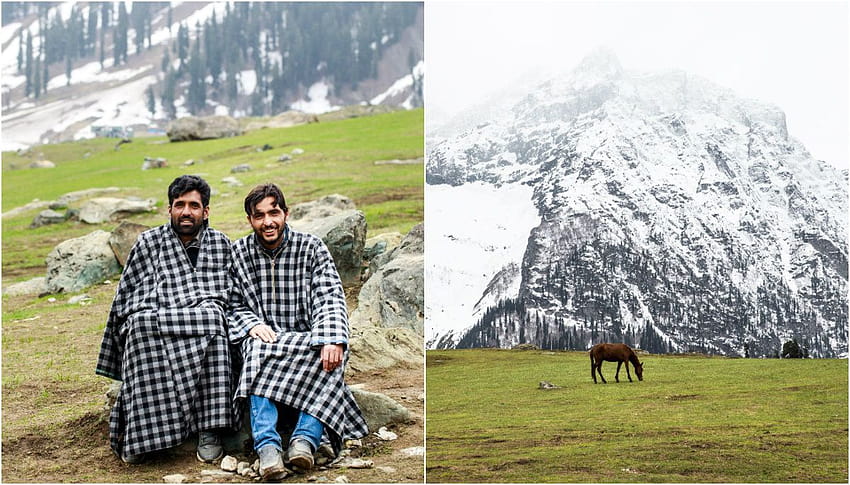 Go for the treks, stay for the tea in Kashmir's 'Golden Valley' HD wallpaper