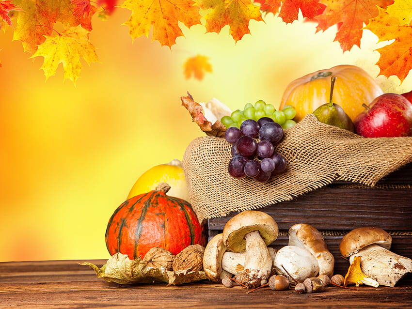 leaves, autumn splendor, fall, grapes, apples, autumn, fruits ::, autumn fruits HD wallpaper