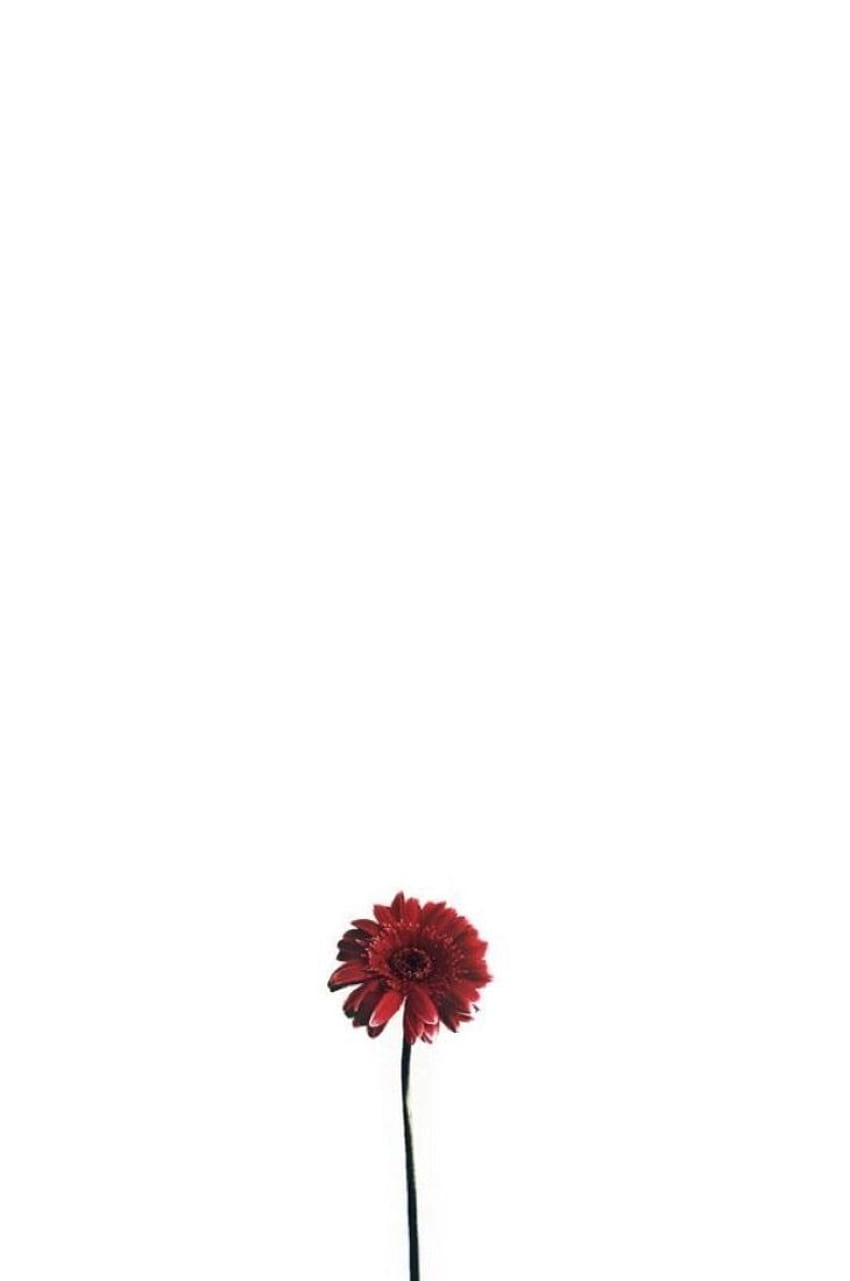 Flor minimalista, floral minimalista pastel Papel de parede de celular HD