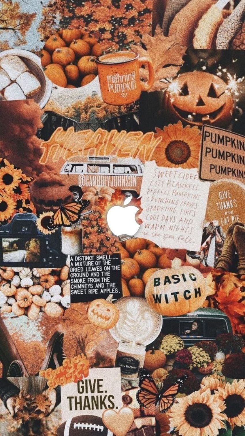 Cozy Autumn, sweet autumn cozy HD phone wallpaper