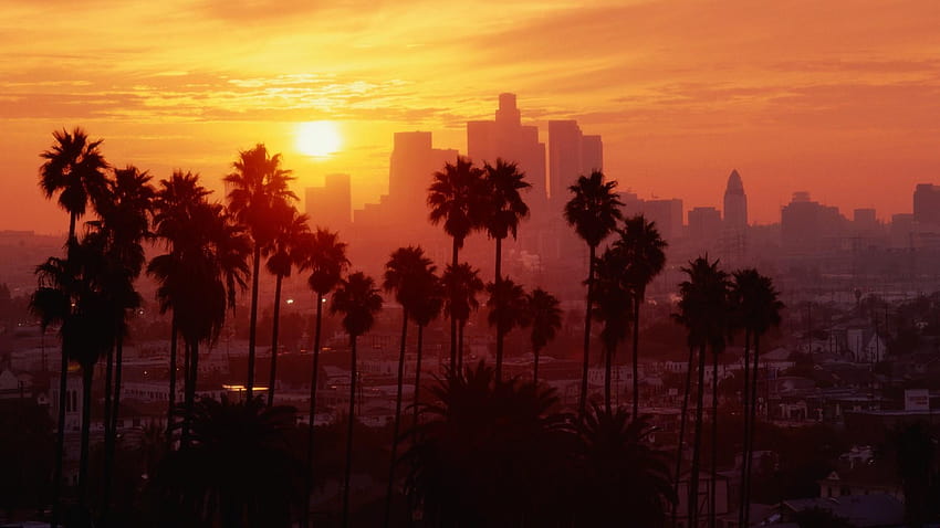 Los Angeles, Sunset, Palm trees / and, 빈티지 로스앤젤레스 HD 월페이퍼