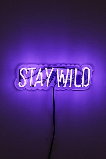 stay wild neon light