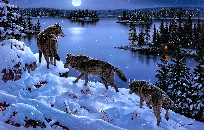 5 Lobo, lobos en la nieve fondo de pantalla | Pxfuel