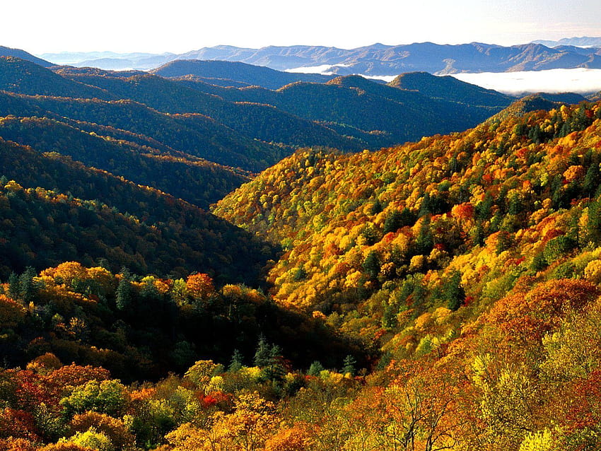 great smoky mountains national park HD wallpaper