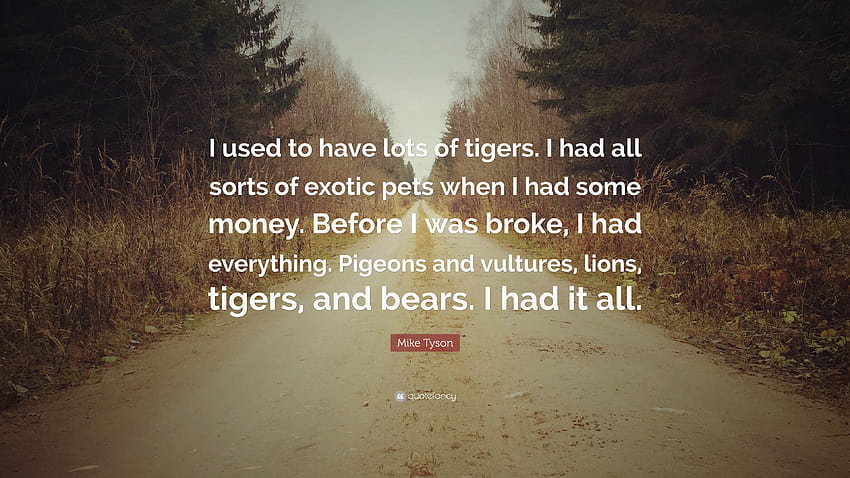 Цитат на Майк Тайсън: „Преди имах много тигри. Имах всякакви пари на Майк Тайсън HD тапет
