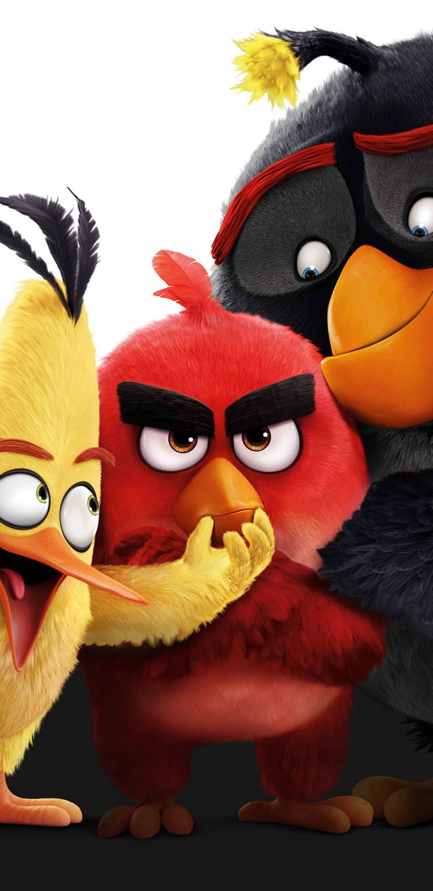 100+] The Angry Birds Movie 2 Wallpapers | Wallpapers.com