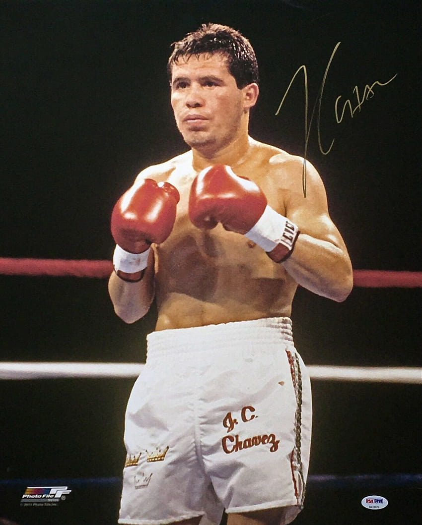Julio Cesar Chavez Signed 16x20 Boxing *HOF PSA 8A33979 HD phone wallpaper