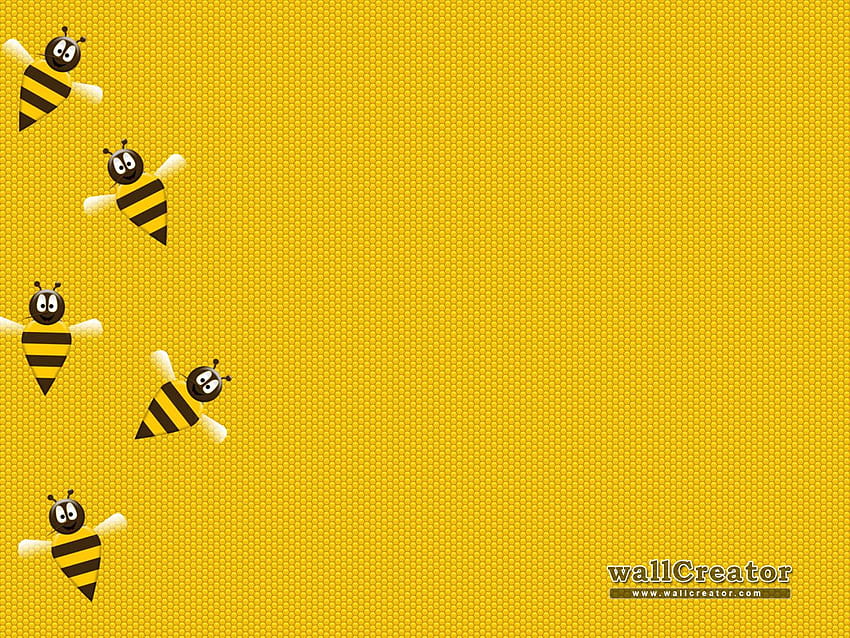 abeilles mellifères reine des abeilles nucs apiculture, reine des abeilles Fond d'écran HD