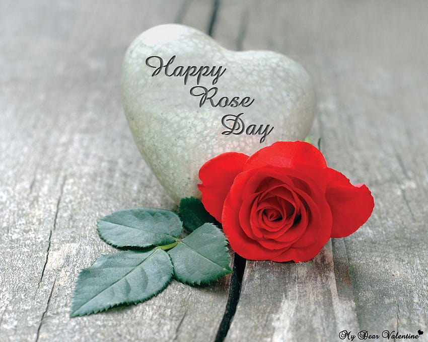 rose day pics, happy rose day HD wallpaper