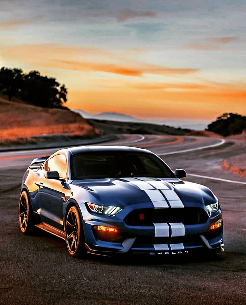 Ford Mustang Shelby GT350R ... HD phone wallpaper