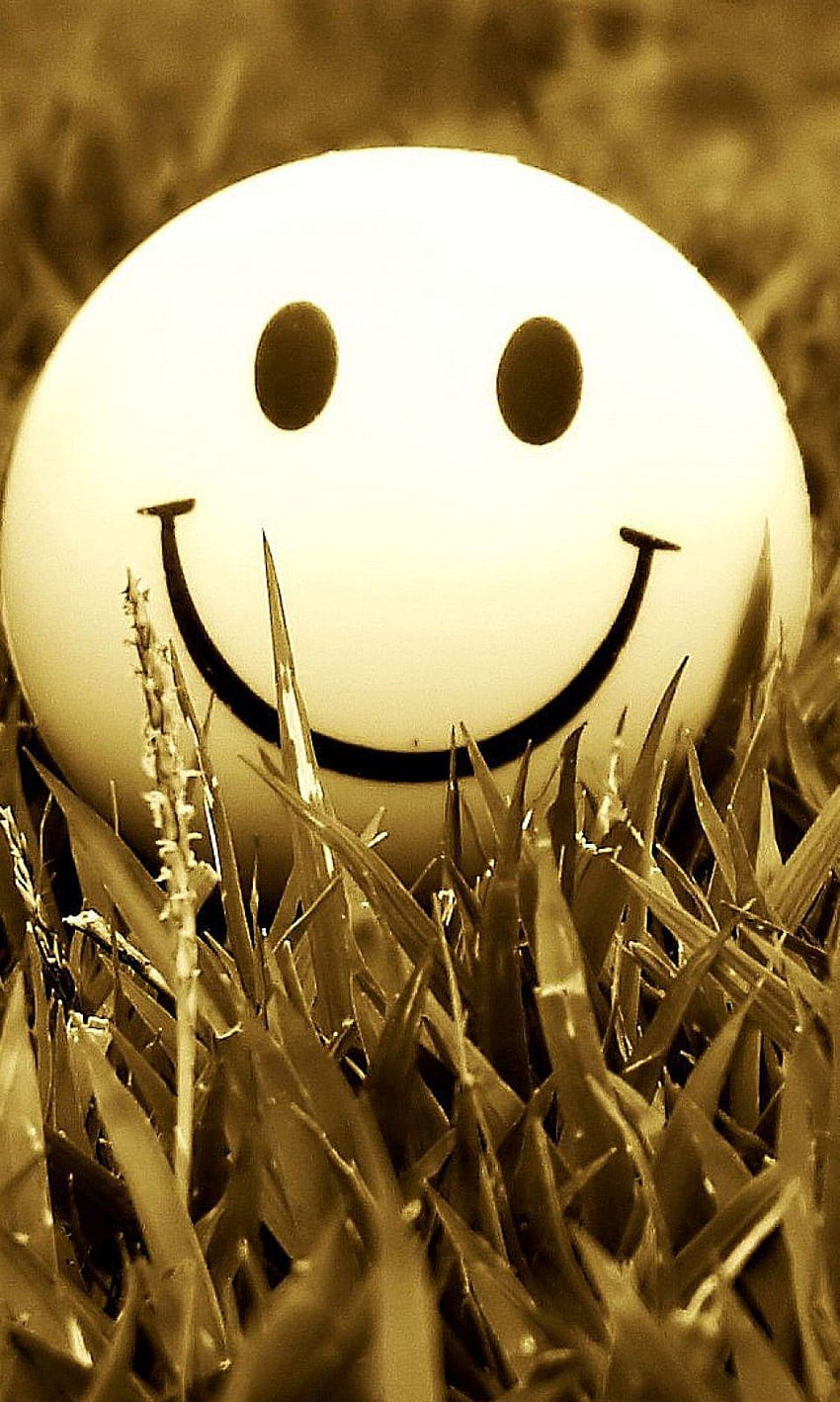 Smiley Gress Mobile, smiley for mobile HD phone wallpaper