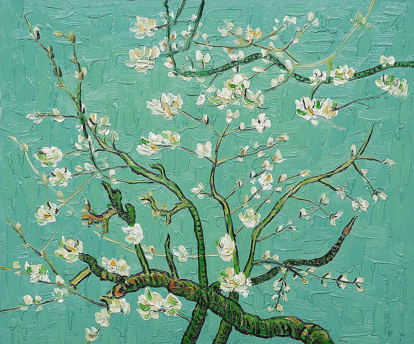 Mandorlo Van Gogh, fiore di van gogh Sfondo HD