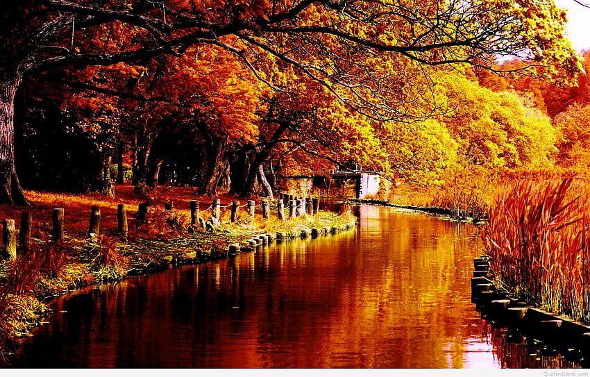 Autumn River In Forest, autumn stuff HD wallpaper