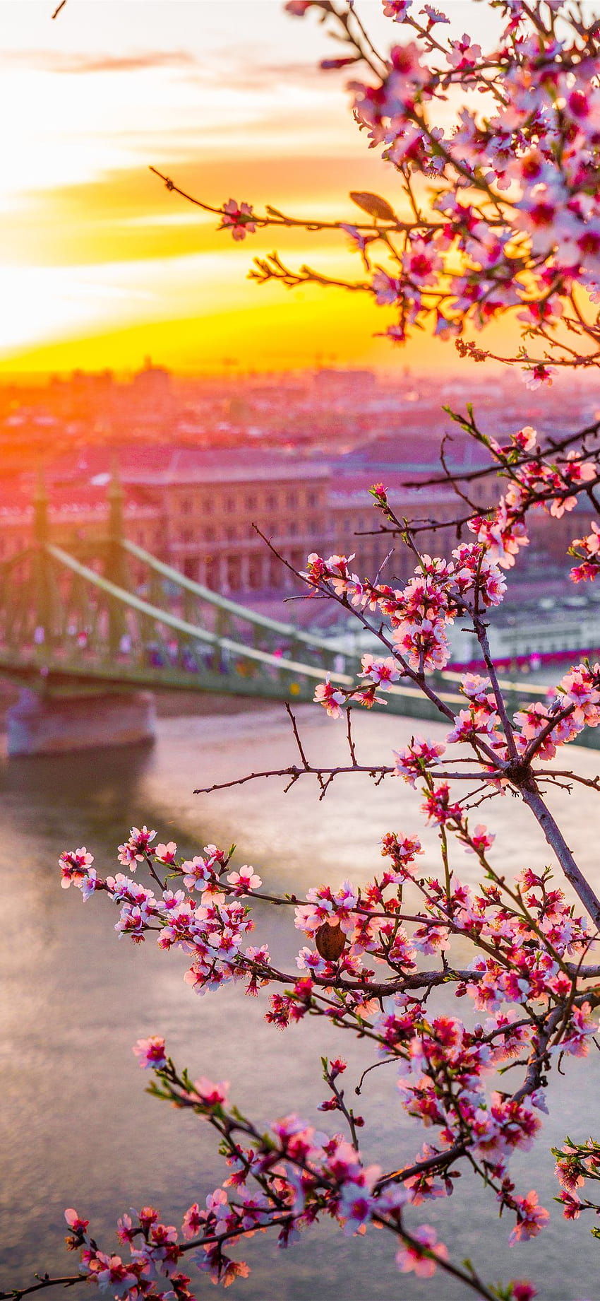 Macaristan'da Özgürlük köprüsü İlkbahar baskısı, Macaristan yazı HD telefon duvar kağıdı