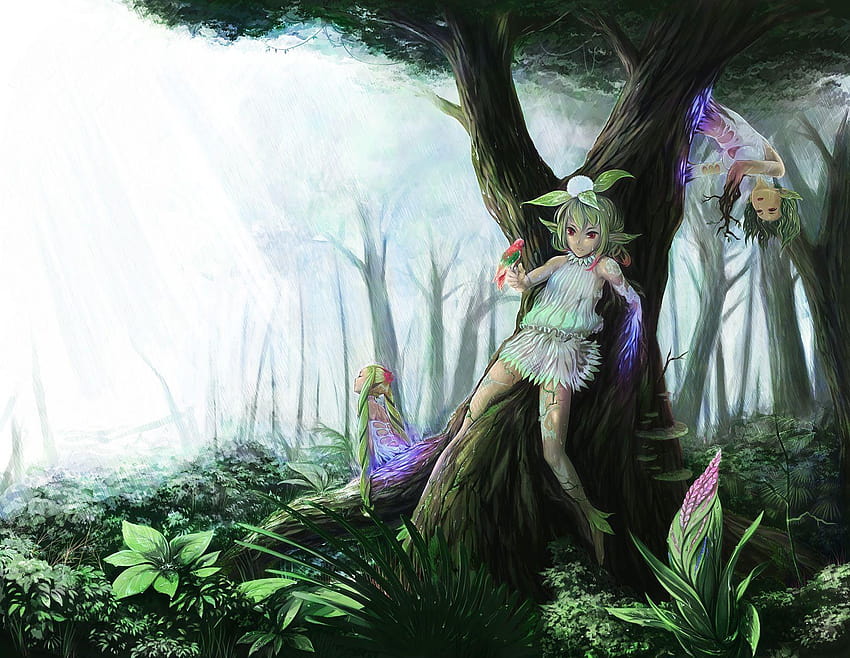 Original art fantasy nature trees forest nymph fairy HD wallpaper