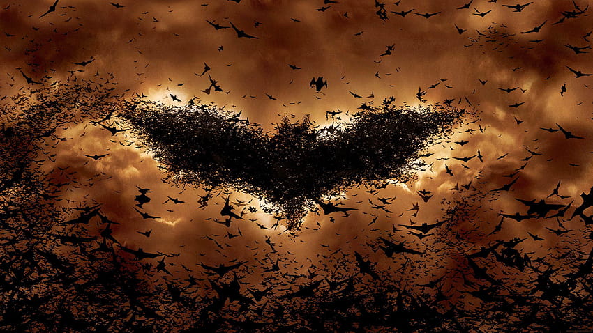 3840x2400 batman begins, bats, symbol, movie, logo, ultra 16:10, , 3840x2400 , background, 7280, bat logo HD wallpaper