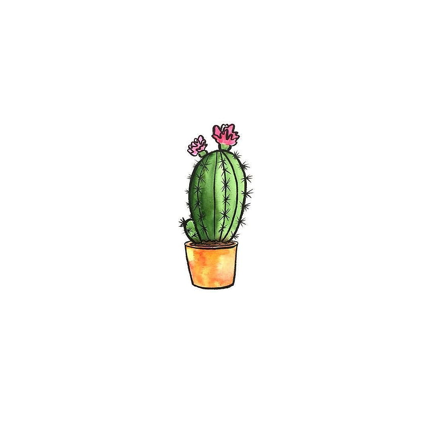 watercolor cactus Informations About Jennifer H on Instagram: “, aesthetic cactus profile pic HD phone wallpaper