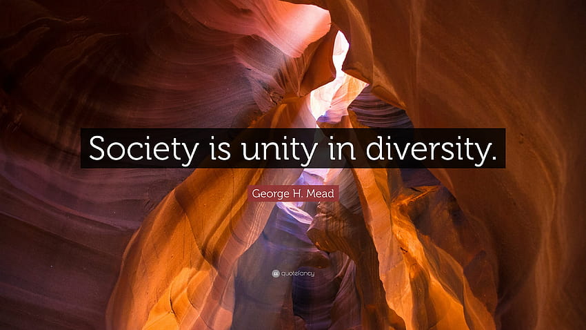 George H. Mead Quote: “Society is unity in diversity.” HD wallpaper