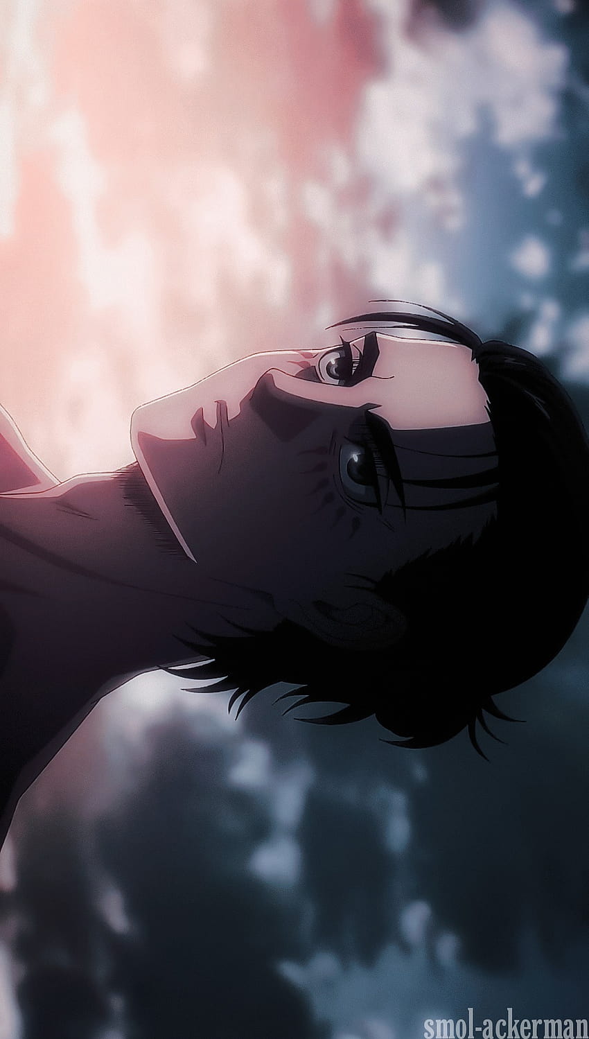 ✨mirror in the sky✨, eren yeager long hair HD phone wallpaper | Pxfuel